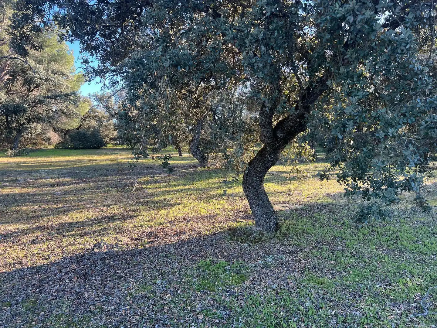 Terreny residencial en venda a Moncloa - Aravaca, imagen 8