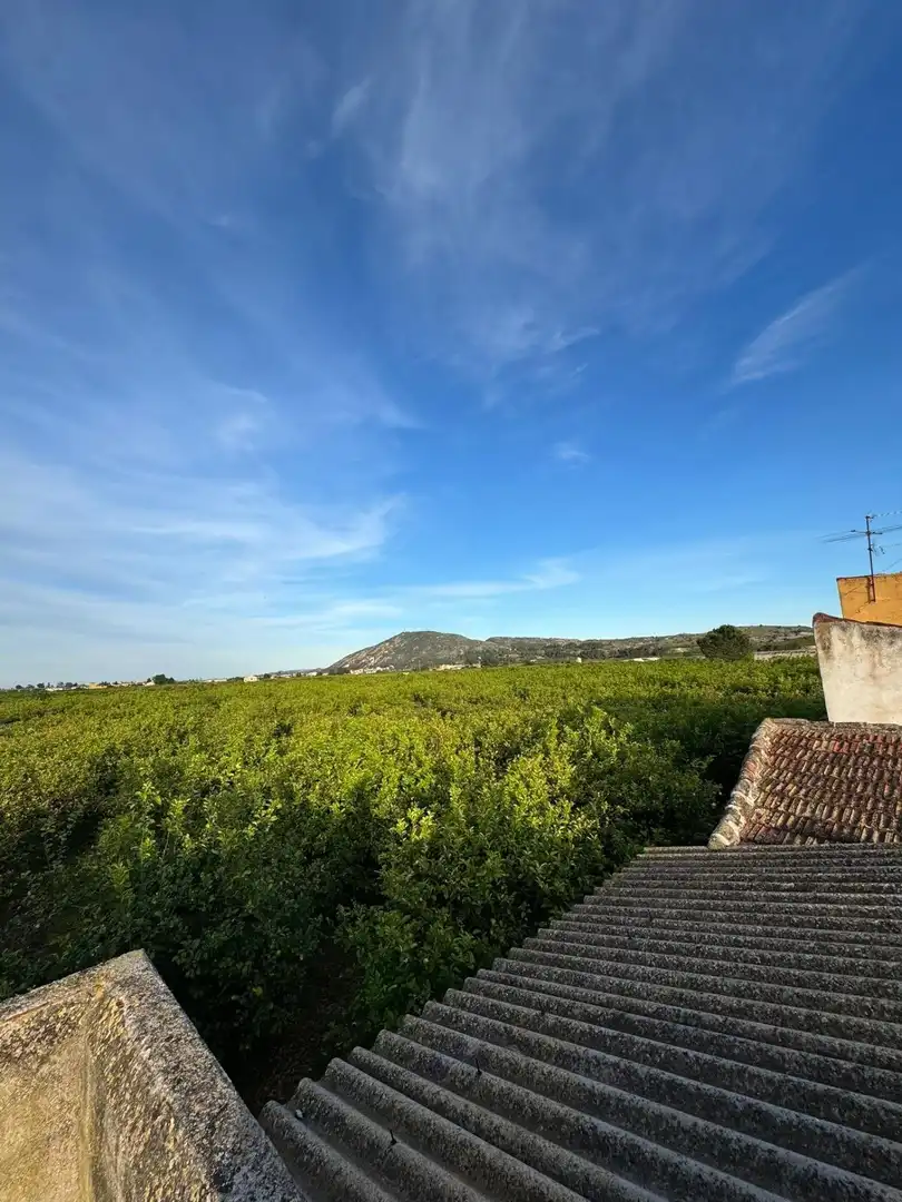 Vista exterior de Finca rústica en venda en Orihuela amb Terrassa