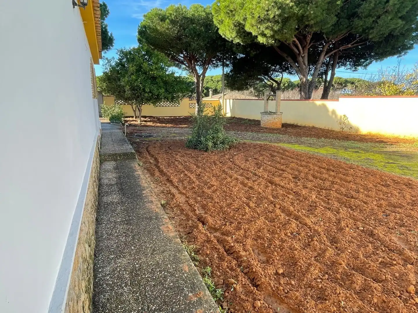 Jardí de Casa o xalet en venda en Chiclana de la Frontera amb Jardí privat, Terrassa i Traster