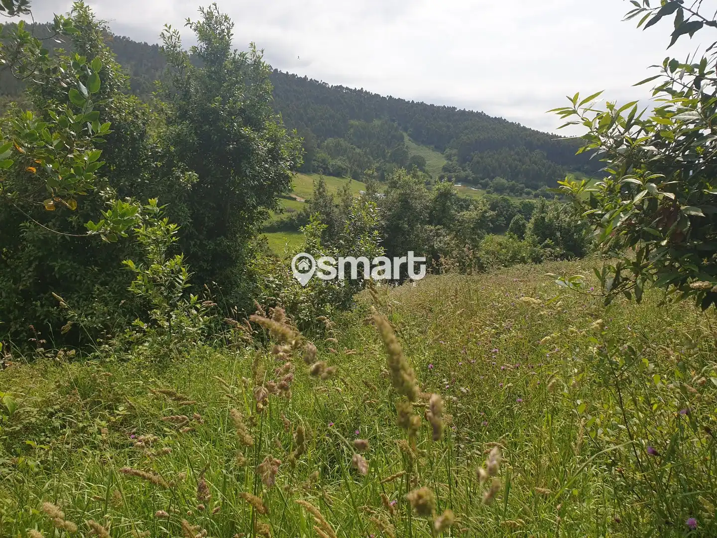 Terreno en venta en Villaviciosa