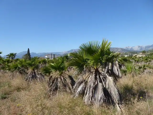 Finca rústica en venta en Xerta