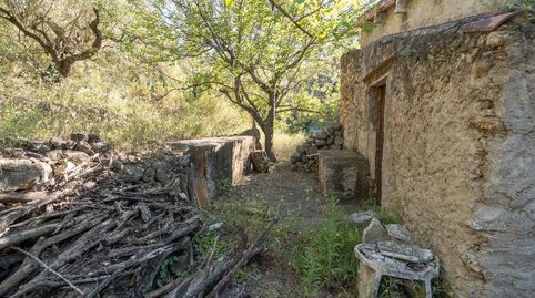 Finca de secano cerca del parque natural