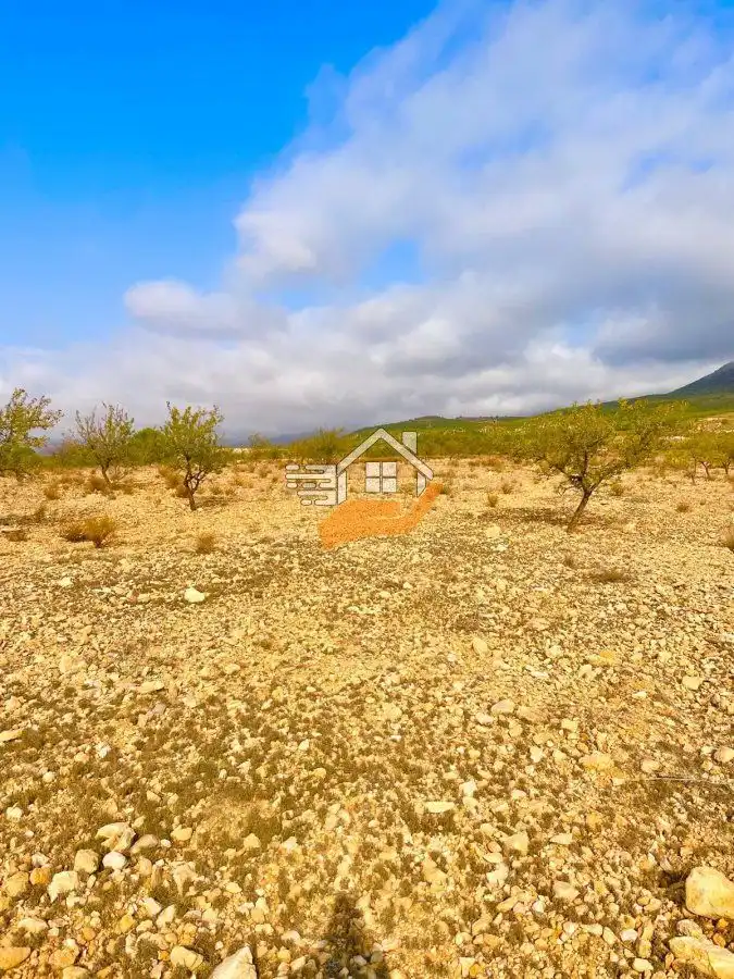 Terreny residencial en venda a Vélez-Rubio, imagen 4