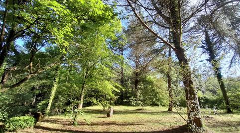 Foto 2 de Finca rústica en venda a Vall D'en Bas, La Vall d'en Bas, Girona