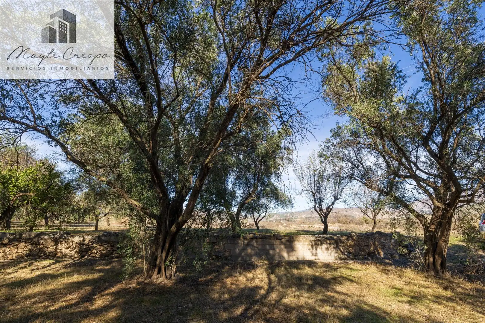 Terreno rustico in vendita a Lecrín, imagen 15