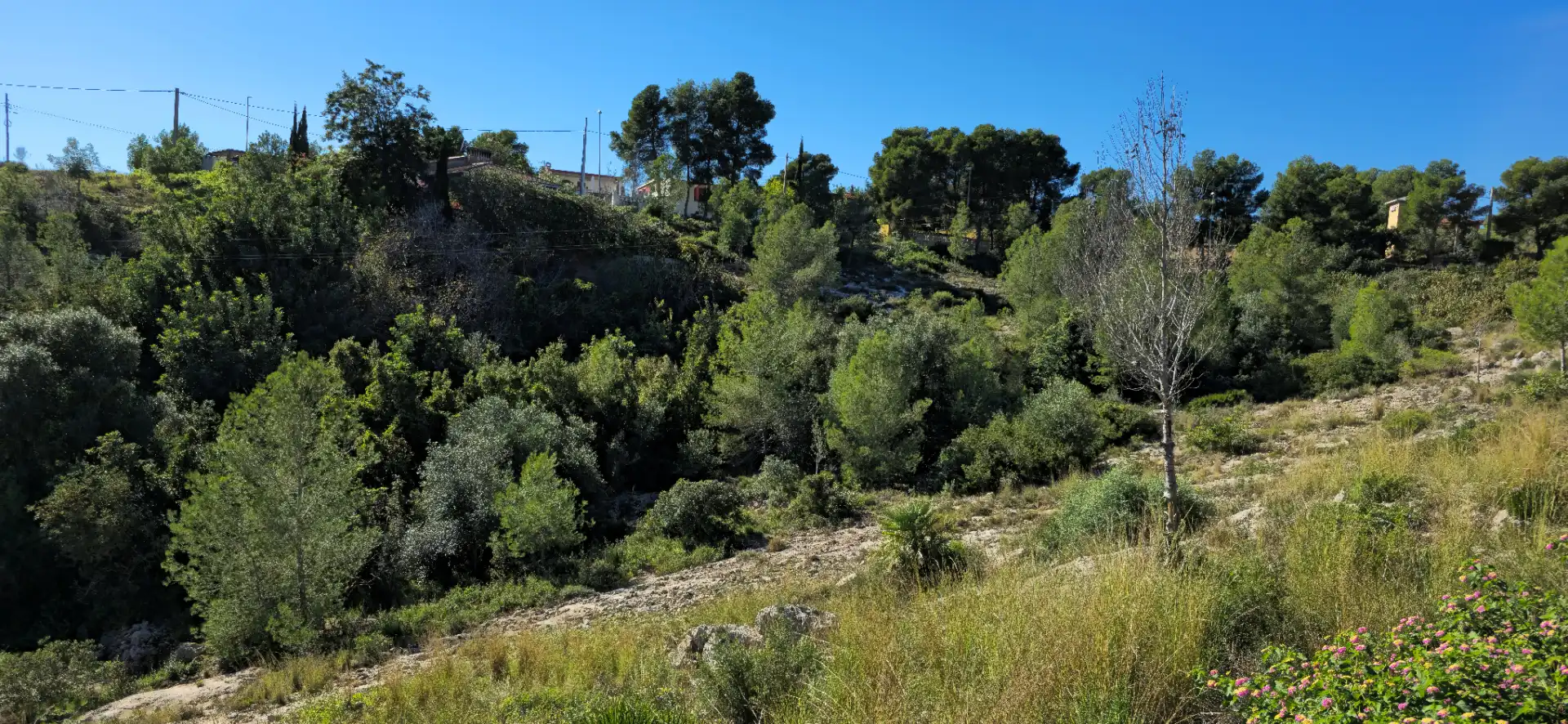 Wohnbaugrundstück zum Verkauf in Calle C/2 Lloma Molina 31, imagen 17