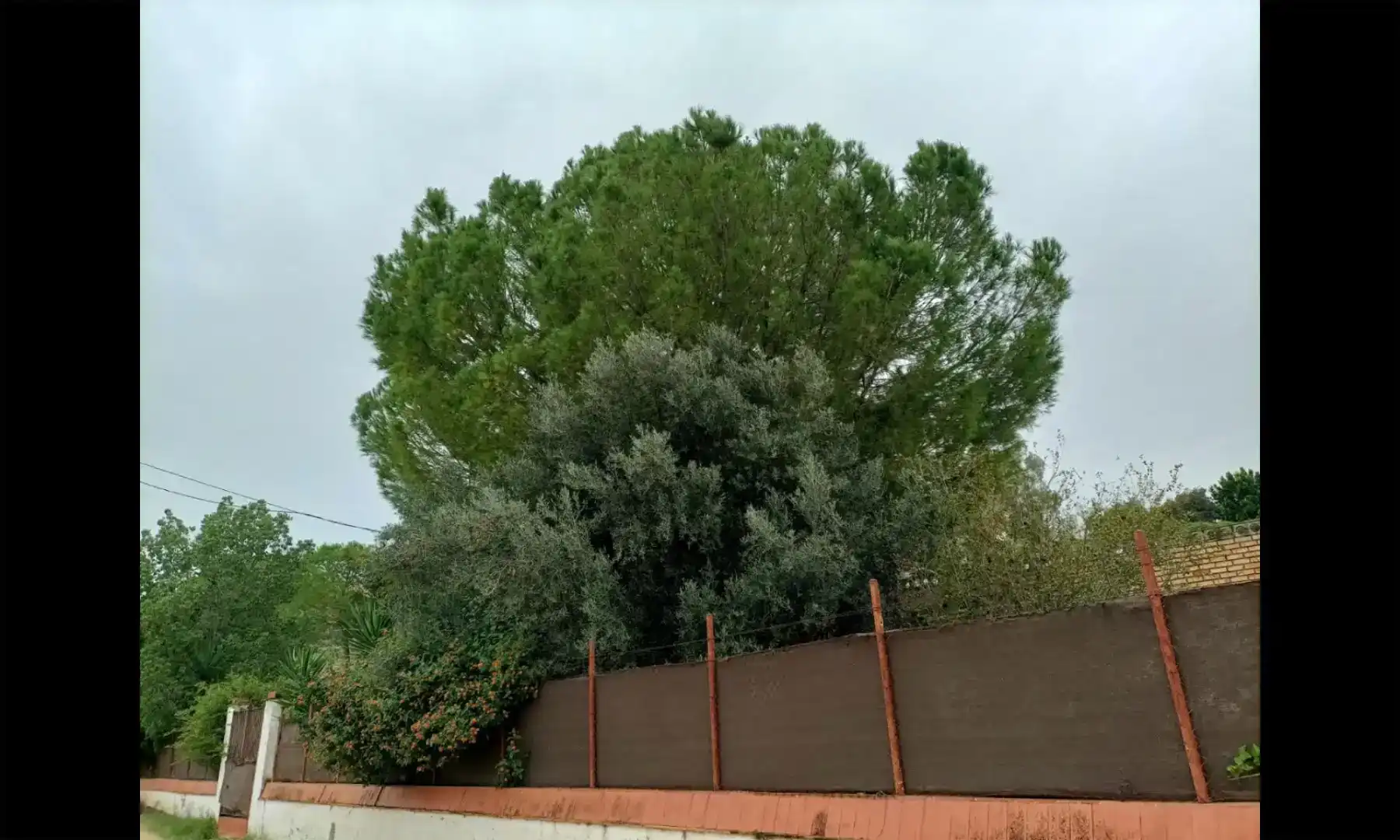 Jardín de Casa o chalet en venta en Alcalá de Guadaira con Aire acondicionado