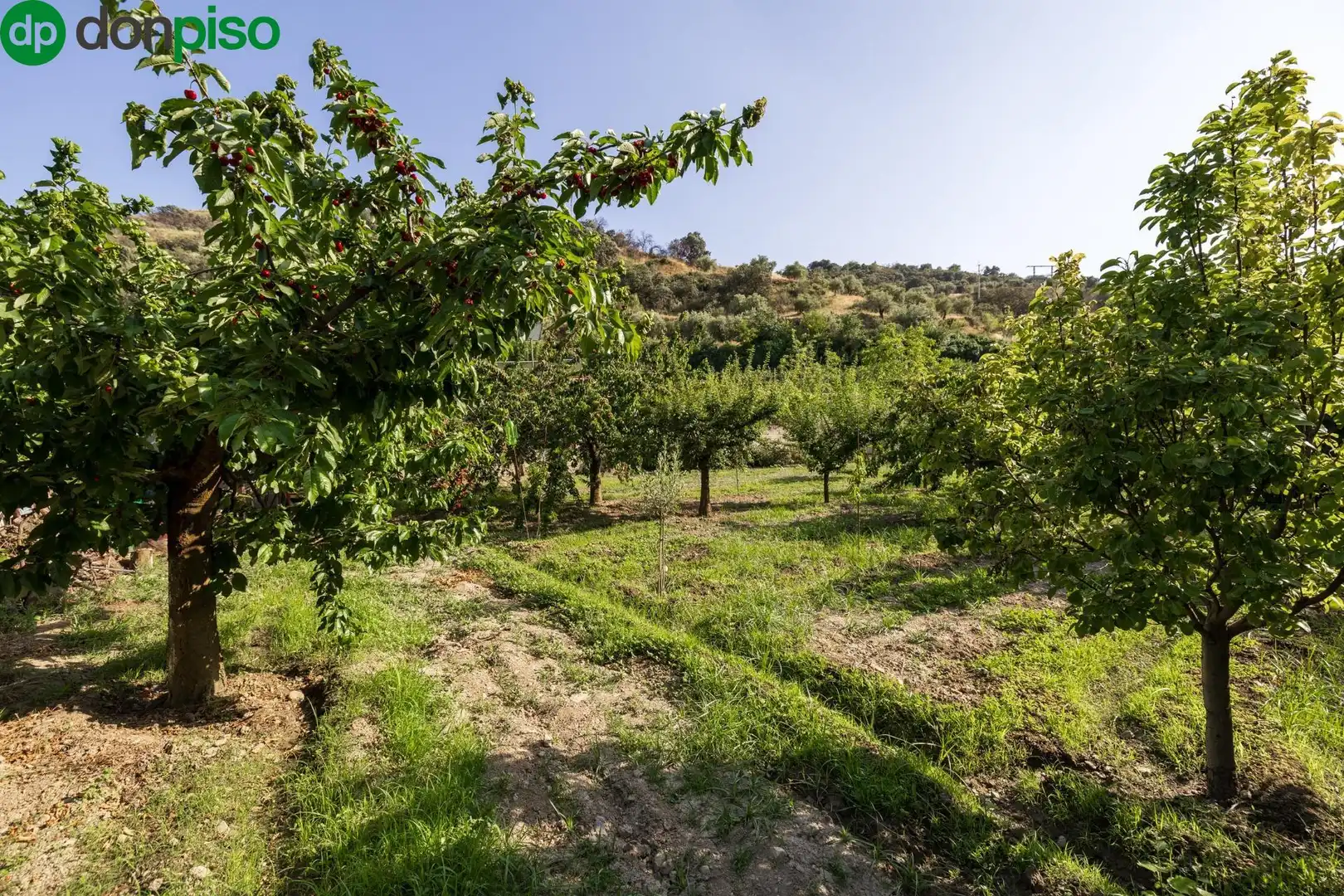 Terreno en venta en Paseo Paseo Duquesa, Pinos Genil