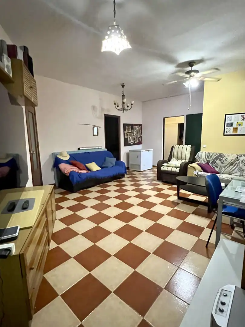 Sala d'estar de Casa o xalet en venda en Sevilla amb Aire condicionat i Traster