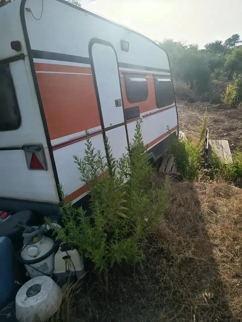 Rustikales Grundstück zum Verkauf in Tolox, imagen 12