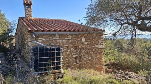 Foto 4 de Finca rústica en venta en Placita Dels Forns, Benlloc, Castellón