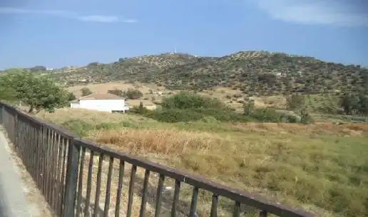 Terreny rústic en venda a Algodonales, imagen 3