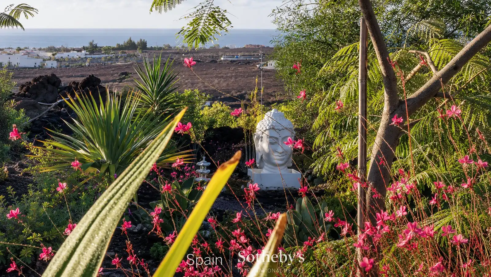 Garden of Houses for sale in Tuineje  with Air Conditioner, Heating and Private garden