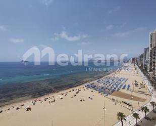 Vista exterior de Estudi en venda en Benidorm amb Aire condicionat, Calefacció i Jardí privat