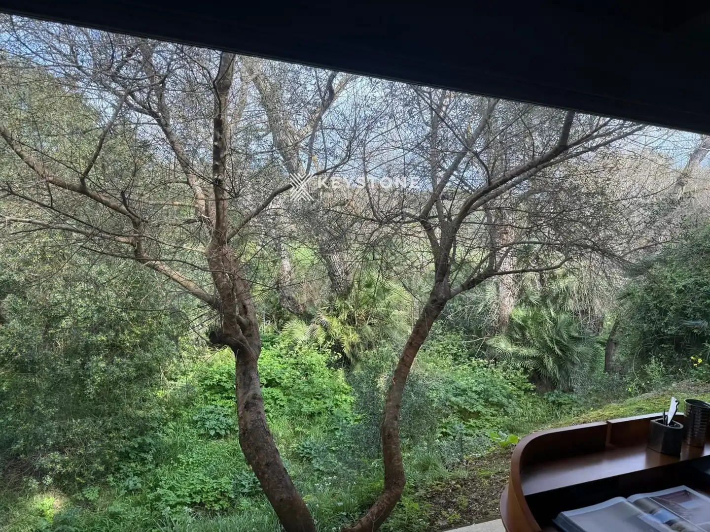 Jardí de Finca rústica en venda en Capdepera
