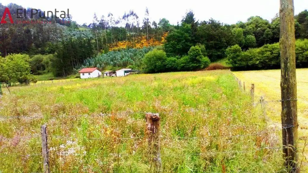 Rural land for sale in Ampuero, imagen 3