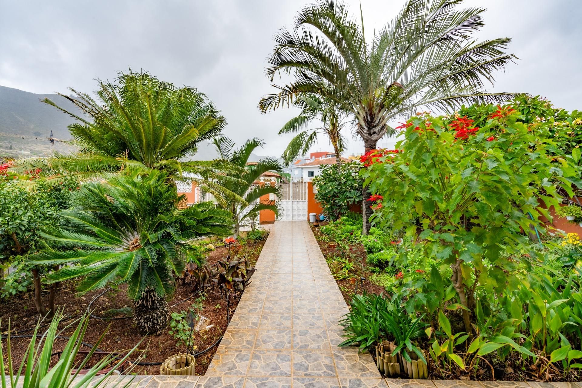 Garden of House or chalet for sale in Tegueste