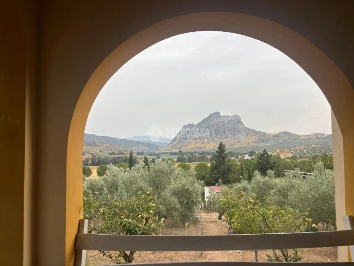 Casa rústica con piscina en venta en Archidona, imagen 45