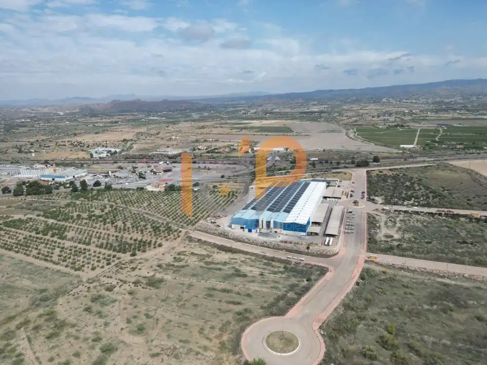 Terreno industriale in vendita a Huércal-Overa, imagen 4