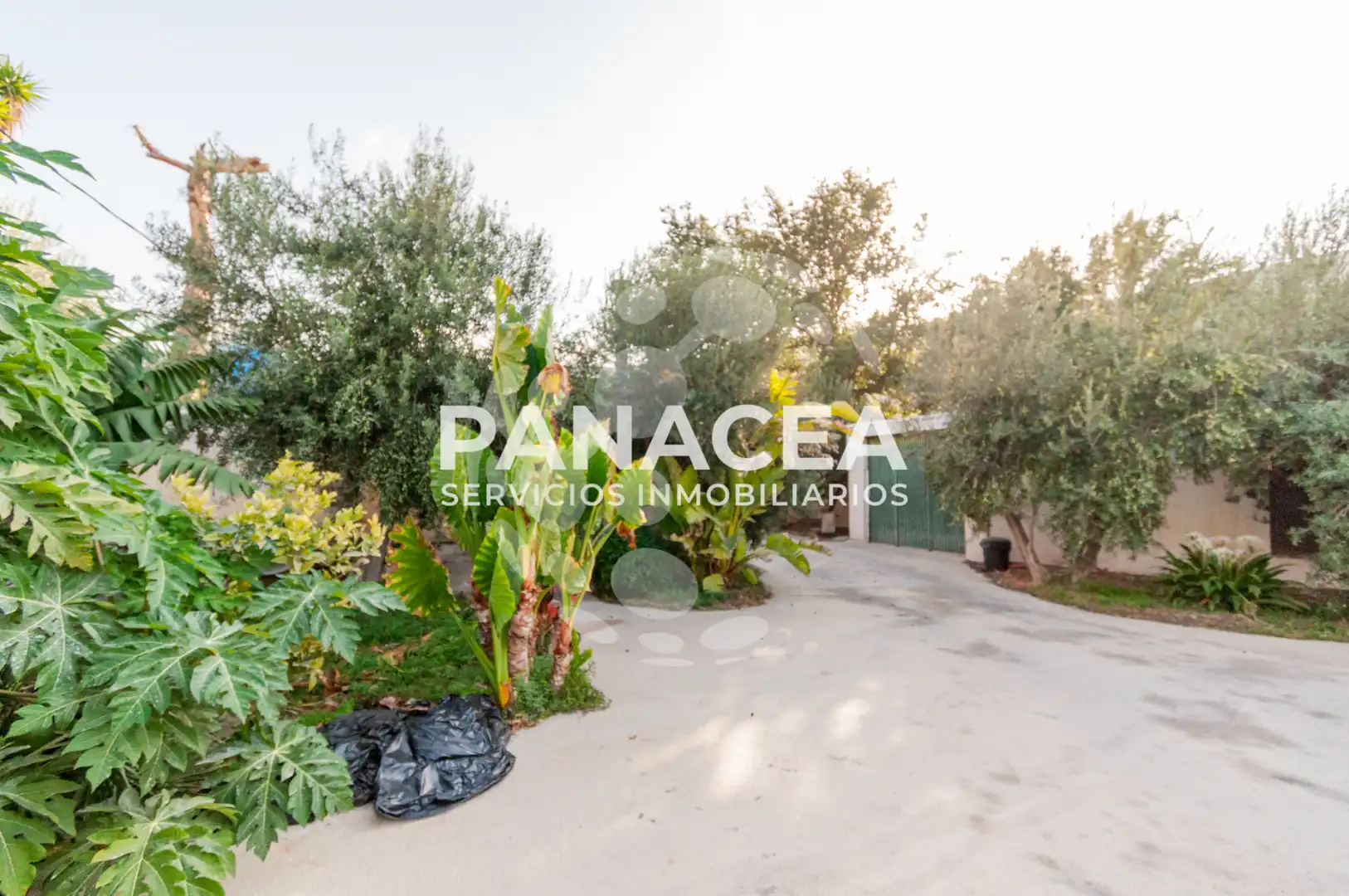 Finca rústica en venta en Vícar Pueblo