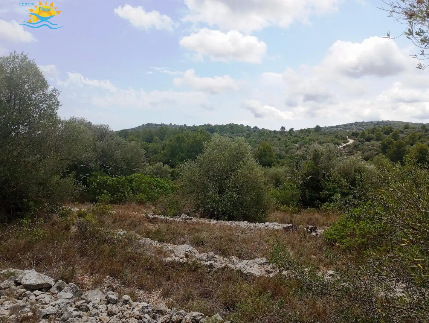 Maison rustique à vendre à CALIG CASTELLON 12589, imagen 3