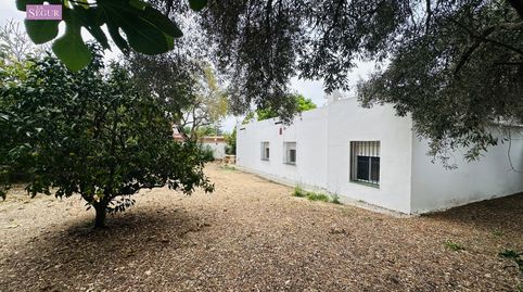 Foto 3 de Casa o chalet en venta en Carretera de Barrio Nuevo, Barrio Nuevo, Conil de la Frontera