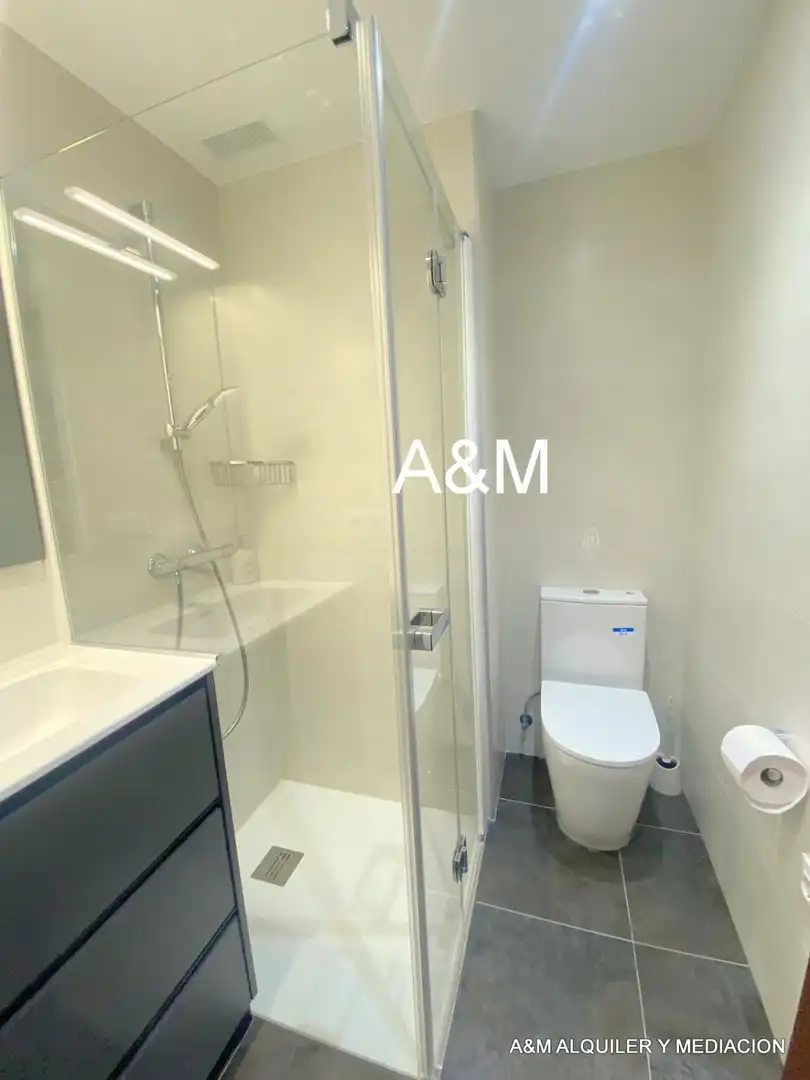 Bathroom of Flat for rent in Vitoria - Gasteiz  with Heating, Parquet flooring and Terrace