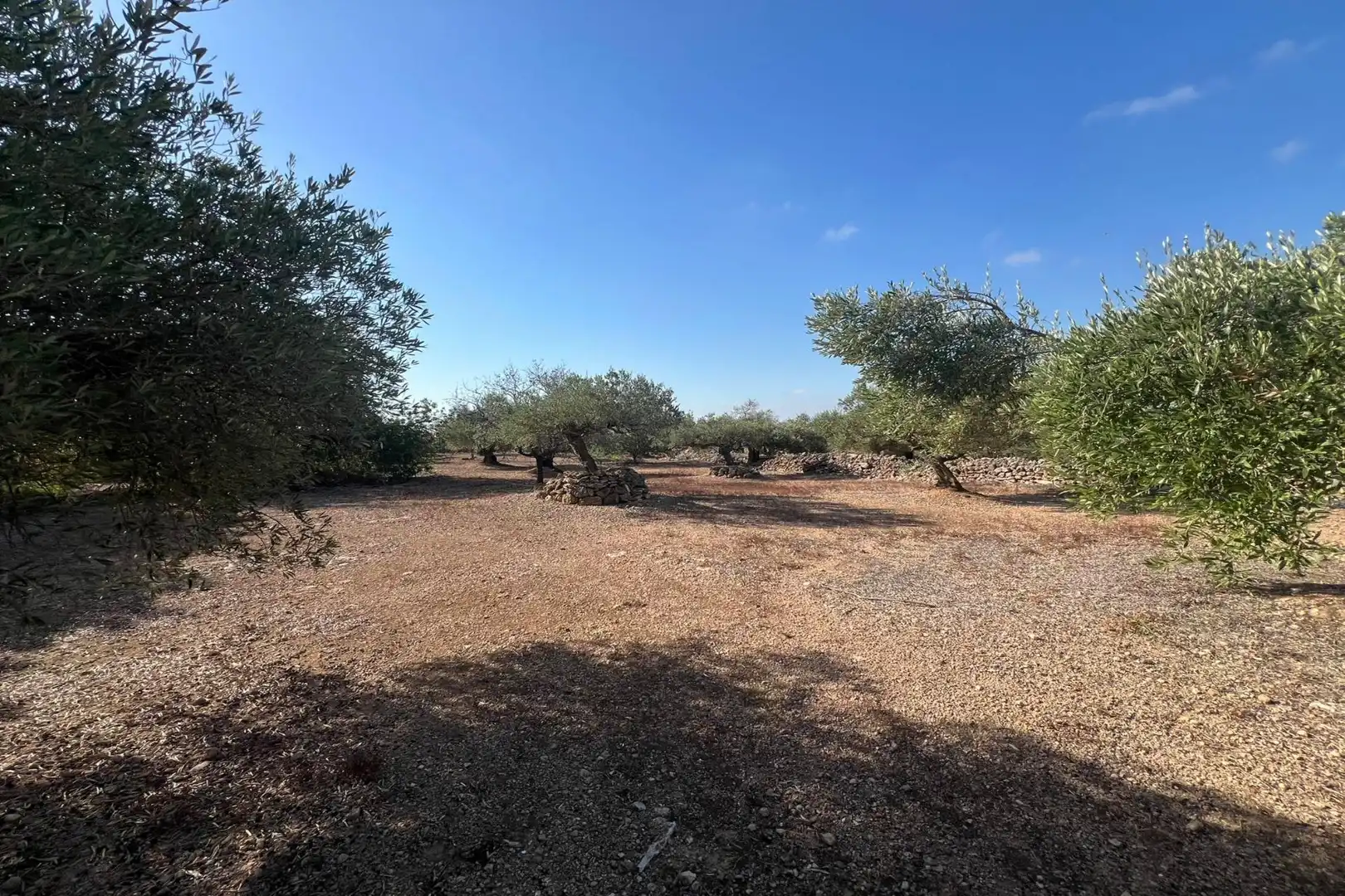 Finca rústica en venta en Tortosa