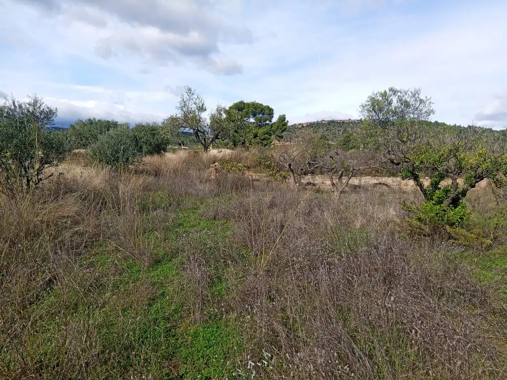 Country homes for sale in Calles