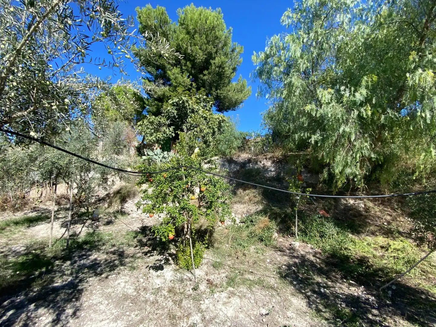 Country house with pool for sale in Sax, imagen 12