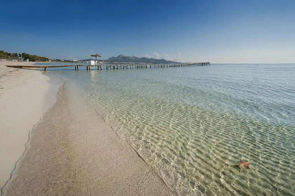 Villa mit Pool zum Verkauf in Port d'Alcúdia - Platja d'Alcúdia, imagen 13