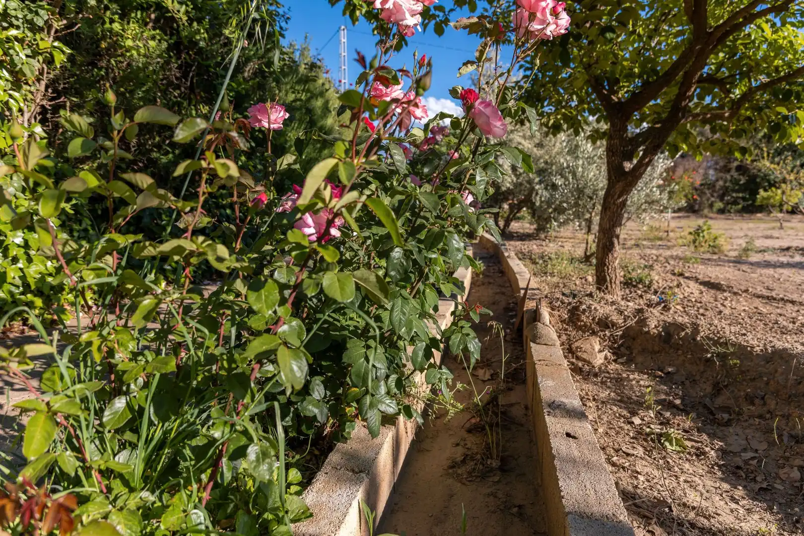 Jardí de Casa o xalet en venda en Guadix amb Aire condicionat, Calefacció i Jardí privat