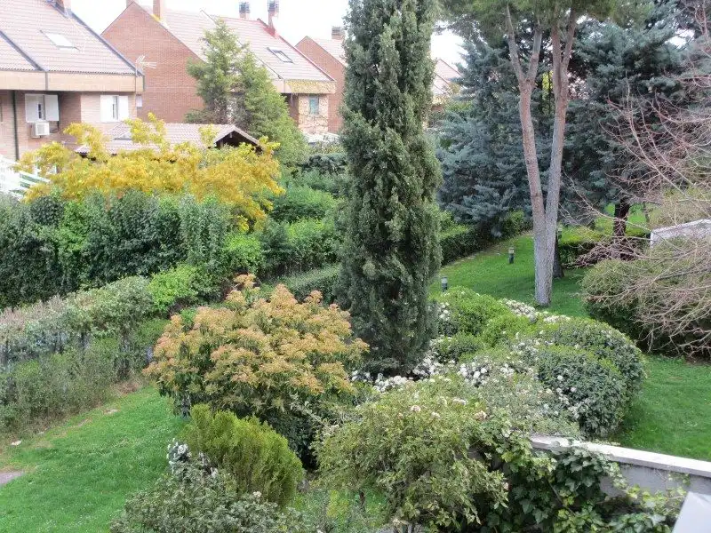 Garden of Flat for rent in Pozuelo de Alarcón  with Air Conditioner, Heating and Private garden