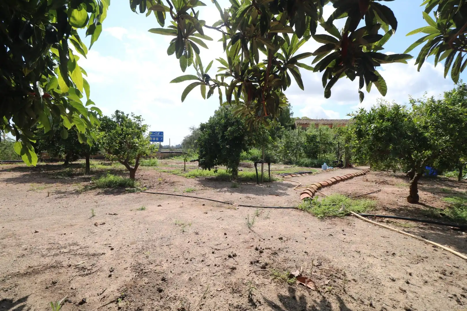 Finca rústica en venta en Gilet