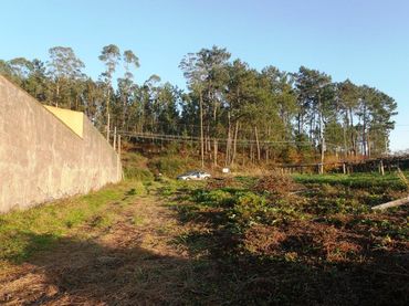 Terreno residenziale in vendita a Boiro
