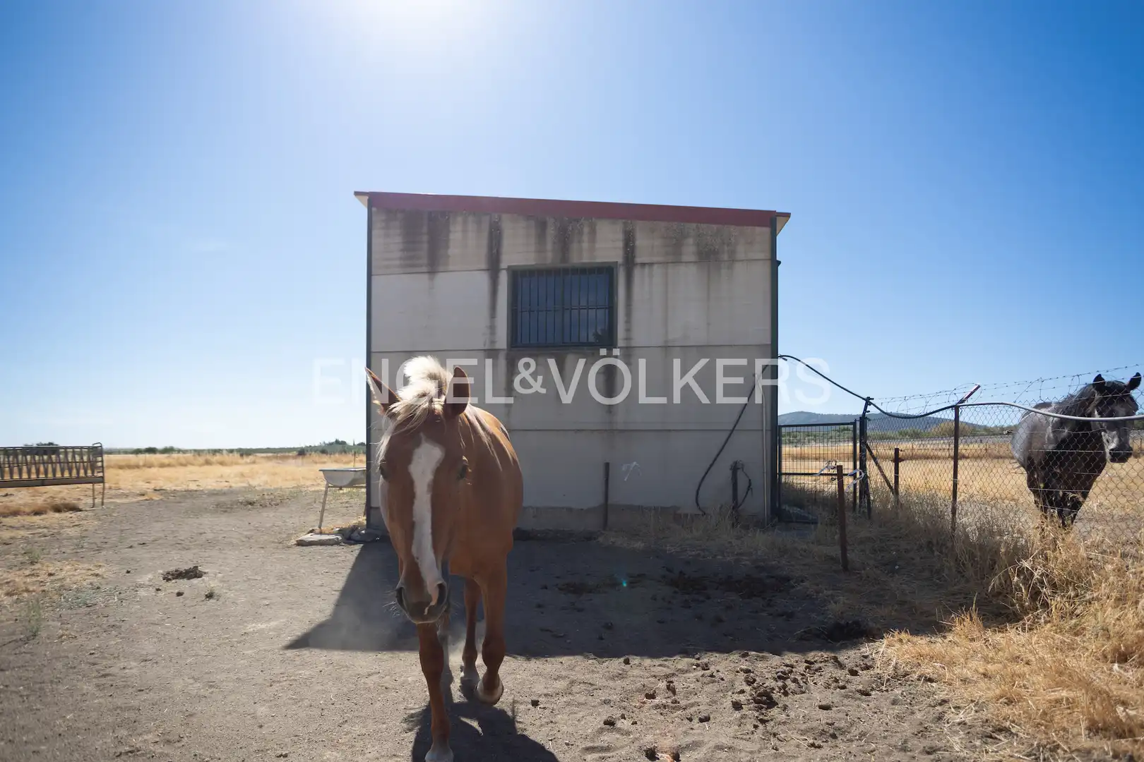 Vista exterior de Finca rústica en venta en Llerena con Calefacción, Jardín privado y Trastero