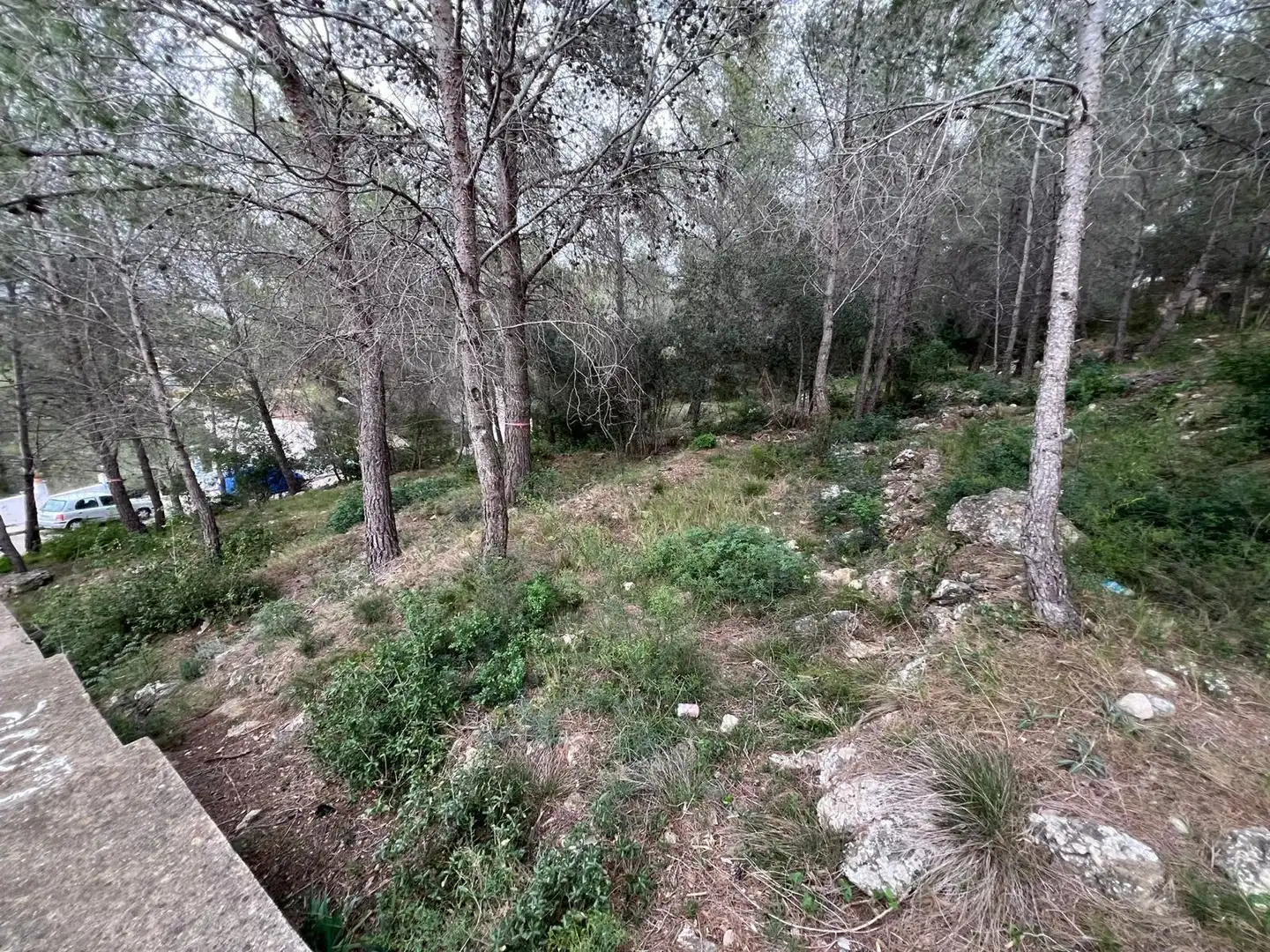 Residential land for sale in Avenida de Can Gordei 113, imagen 16