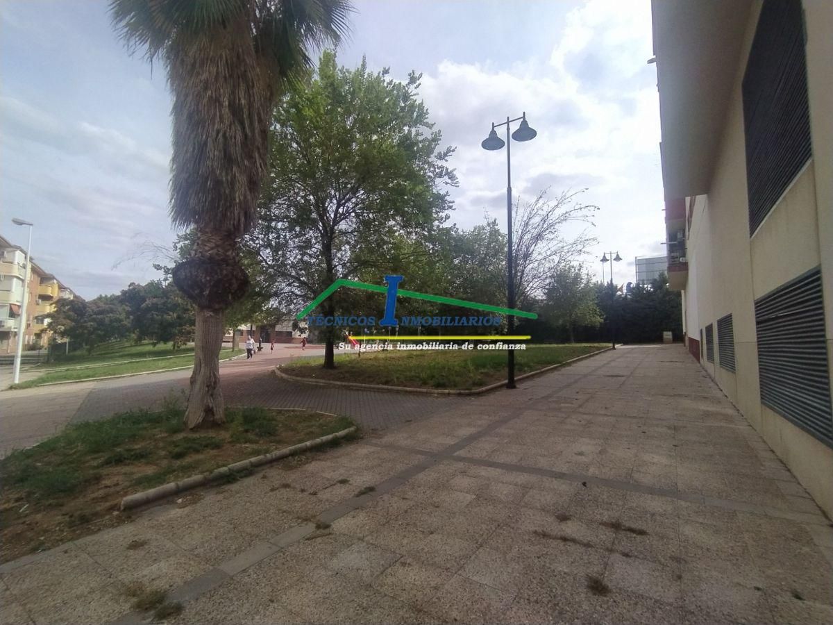 Dúplex de alquiler en Avda. Eugenio Hermoso, Oeste