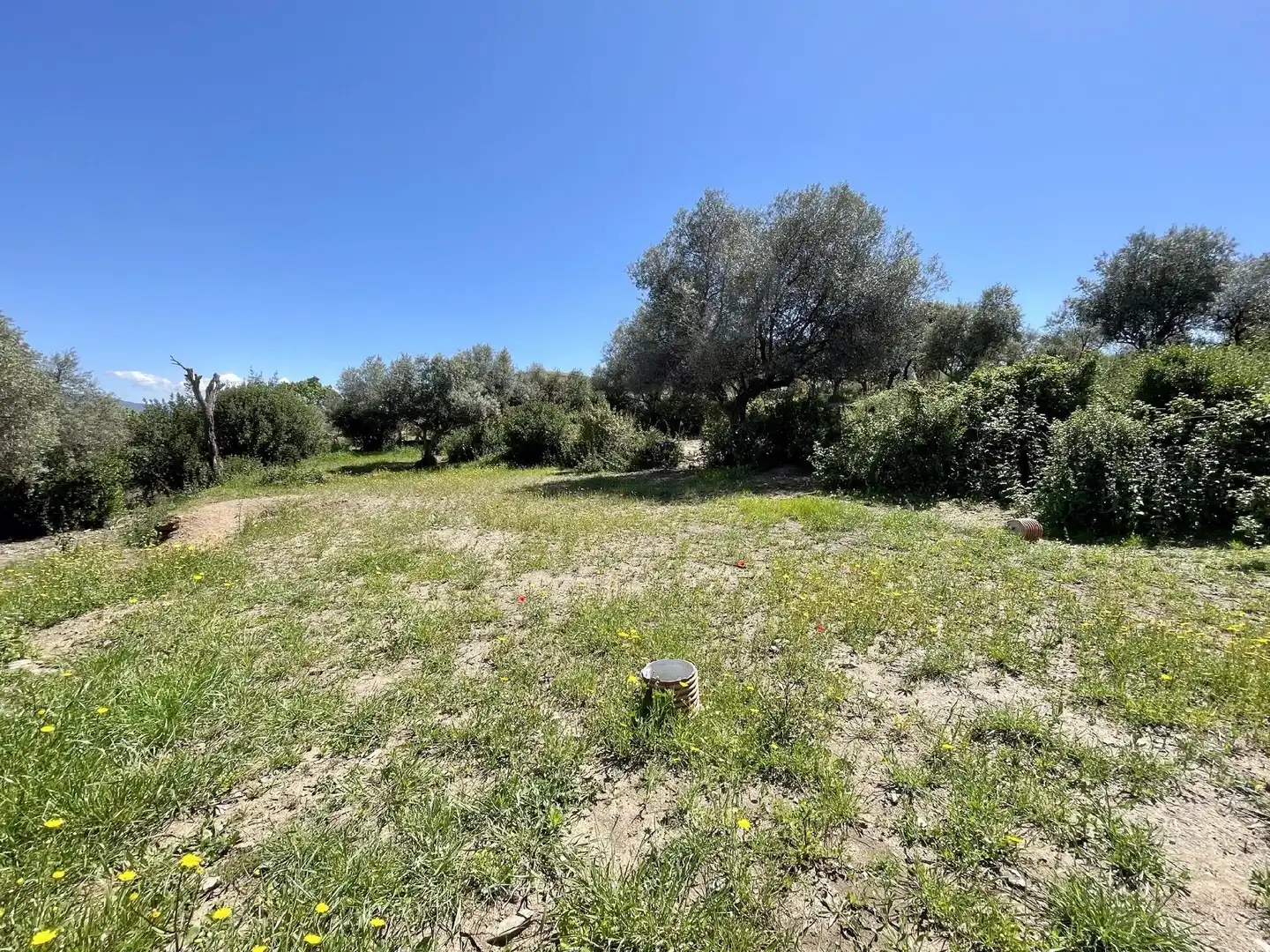 Terreni e lotti in vendita a Malpartida de Plasencia, imagen 5
