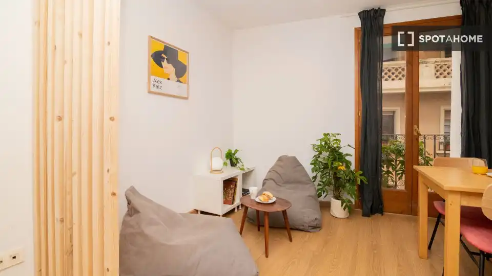 Piso con terraza en alquiler en Ciutat Vella, imagen 4