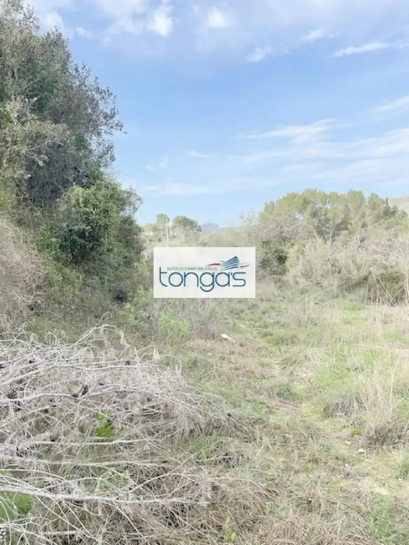 Terreny residencial en venda a Xàtiva, imagen 4