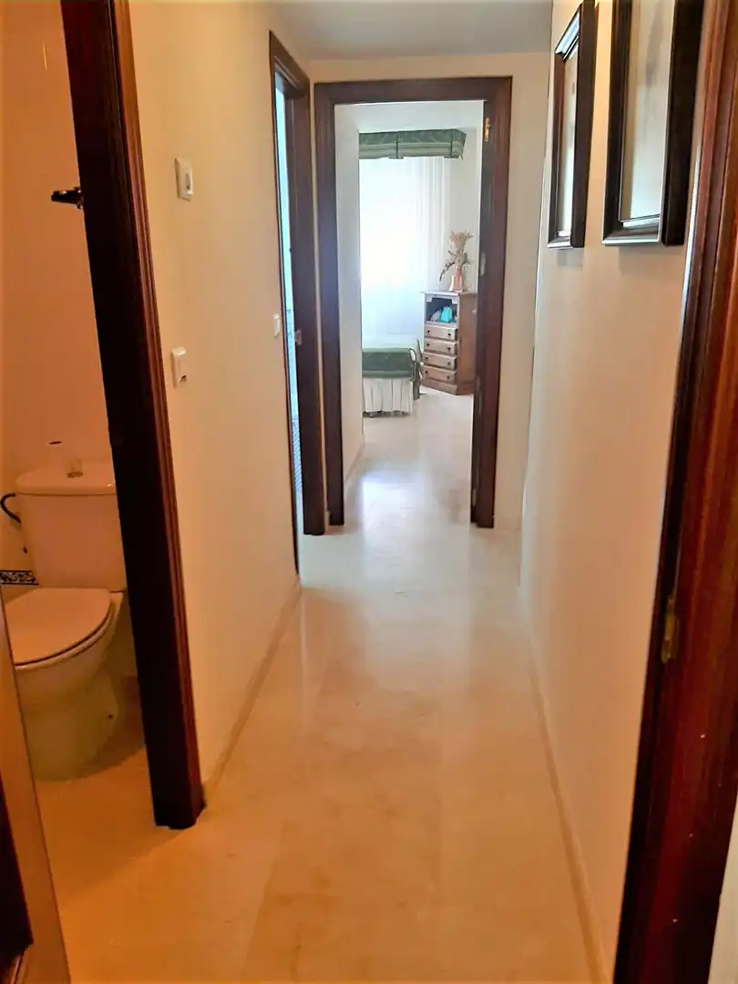 Apartments for rent in Centro