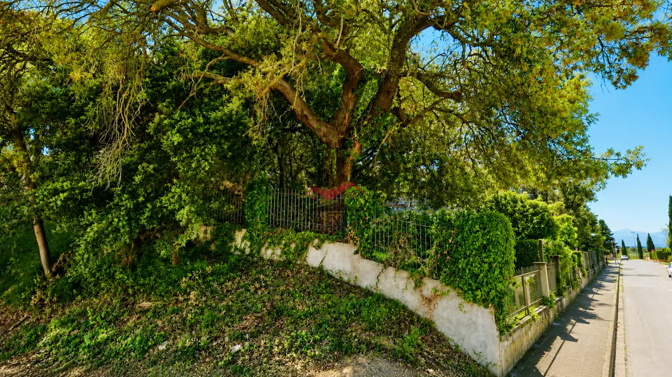 Terrenos y solares en venta en Garbí, imagen 3