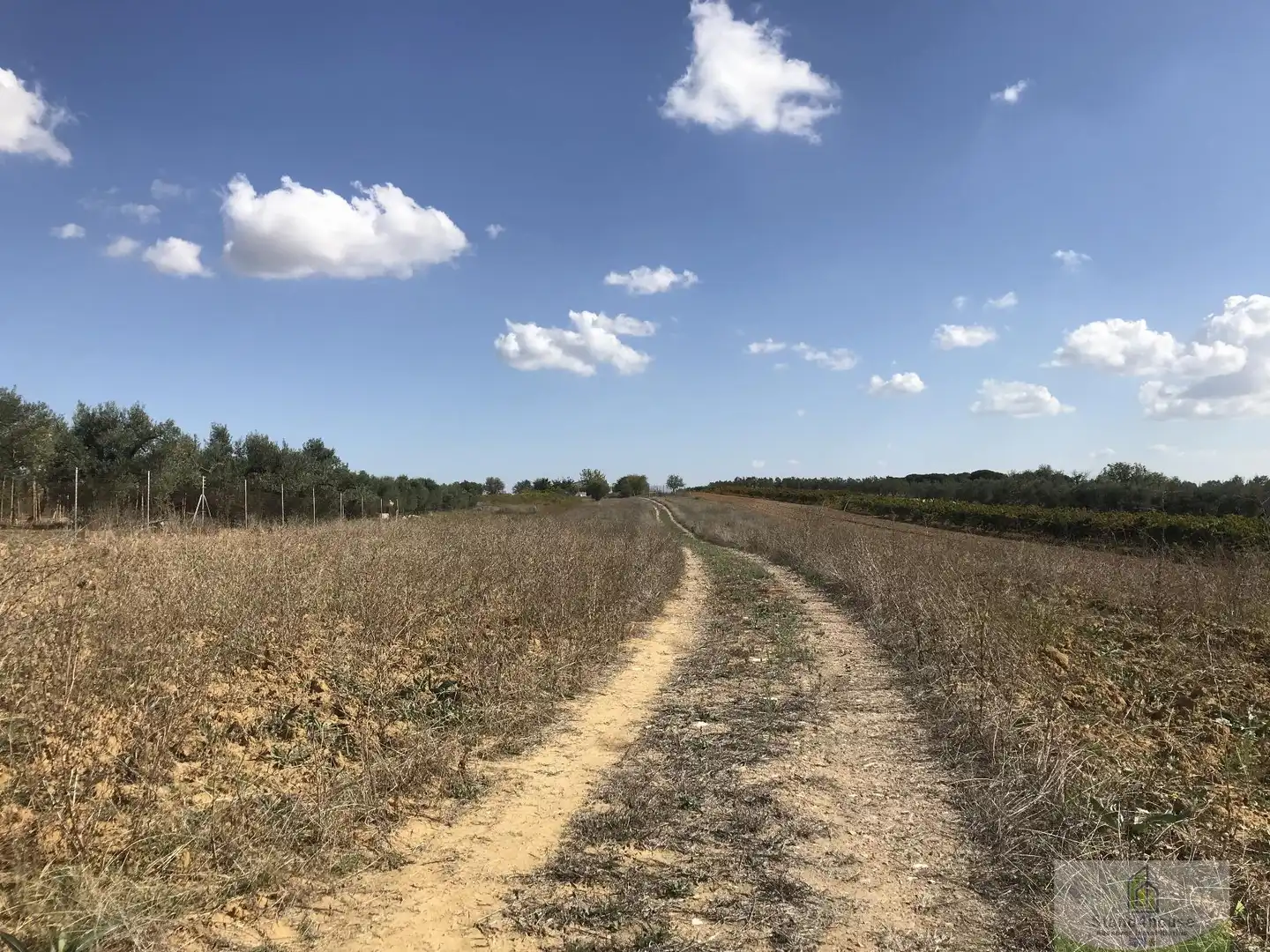 Finca rústica en venda en Rociana del Condado amb Terrassa i Traster