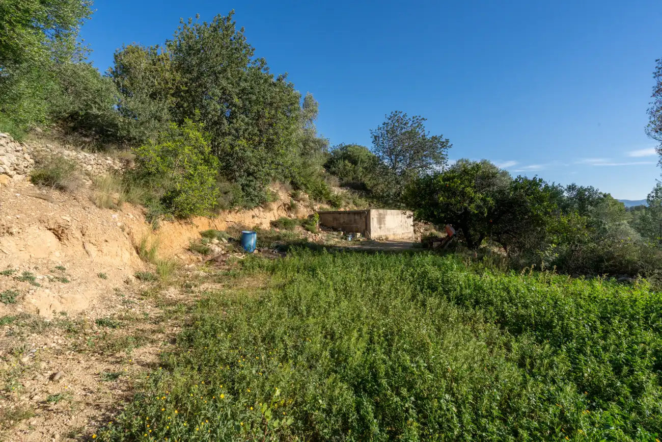 Terrain rustique à vendre à T-301 57, imagen 9