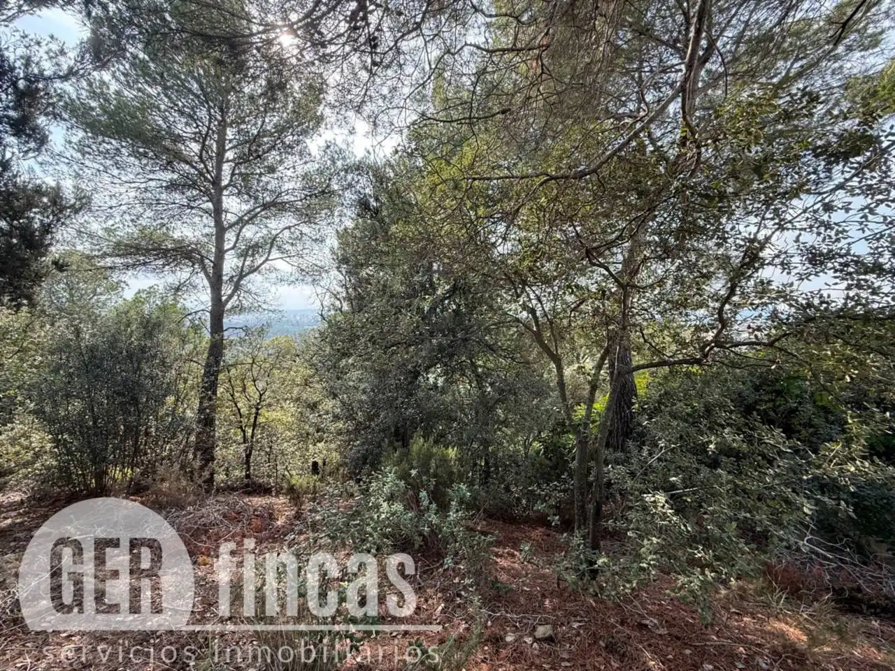 Industrial land for sale in Matadepera