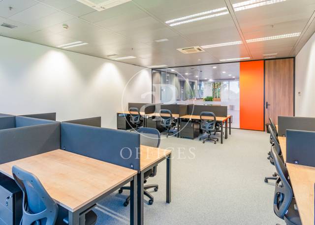 Oficina en Alquiler en P.º Club Deportivo en La Finca