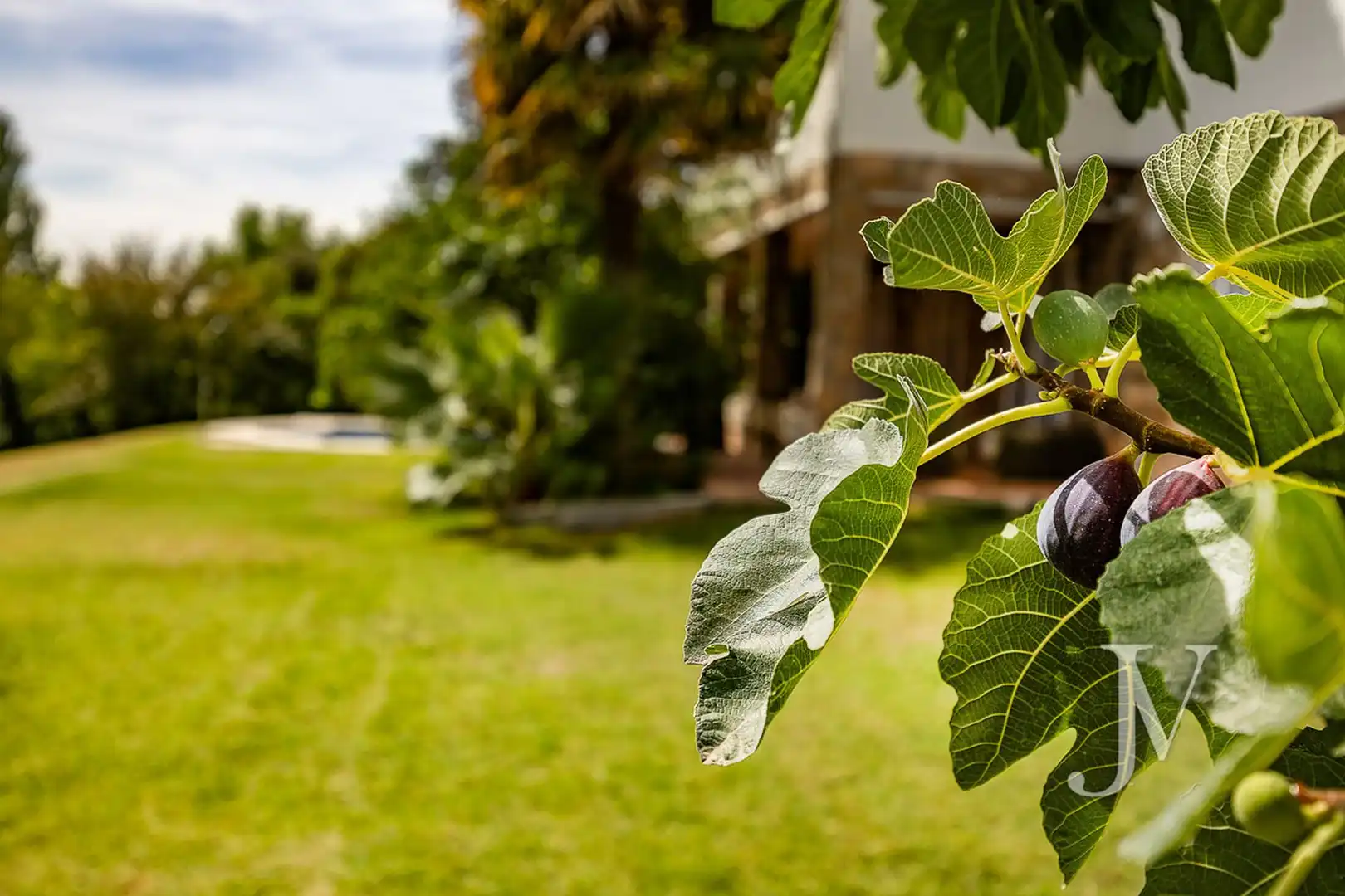 Garten von Haus oder Chalet zum Verkauf in Algete mit Klimaanlage, Heizung und Privatgarten