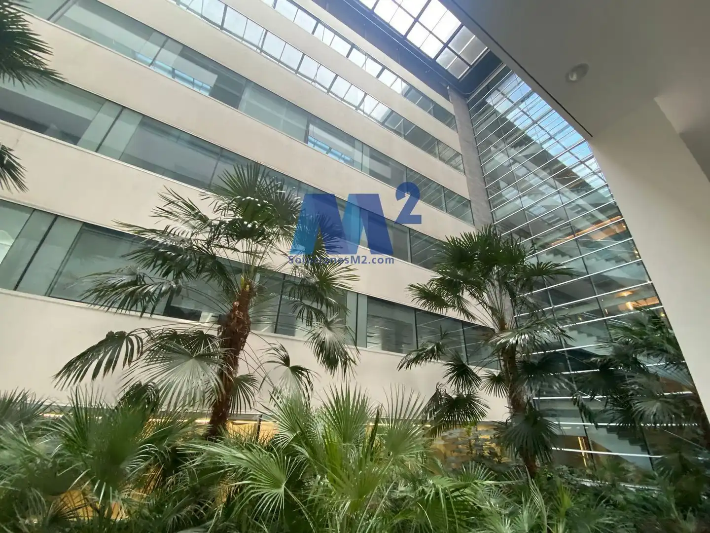 Office space with lift to rent in ANABEL SEGURA, imagen 4