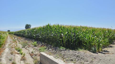 Foto 5 de Finca rústica en venda a Belicena, Granada